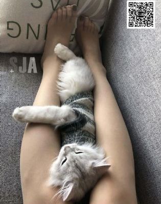 你好大轻点男男视频_国产剧电影全集观看